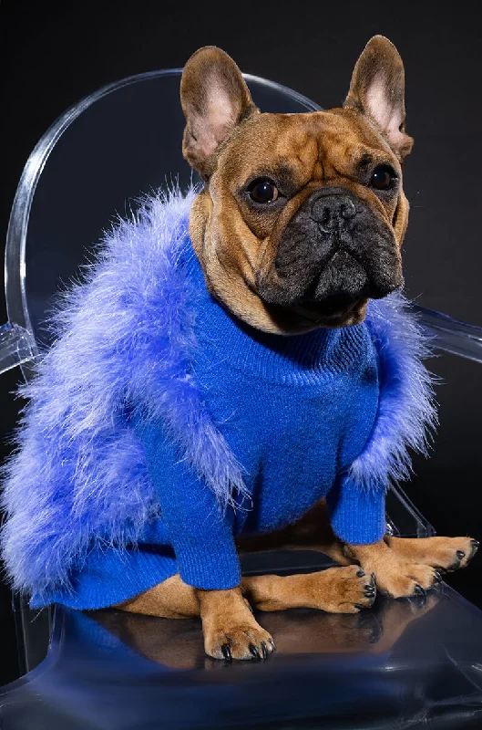 women's coats for cold weatherQUINN FEATHER DOGGY SWEATER